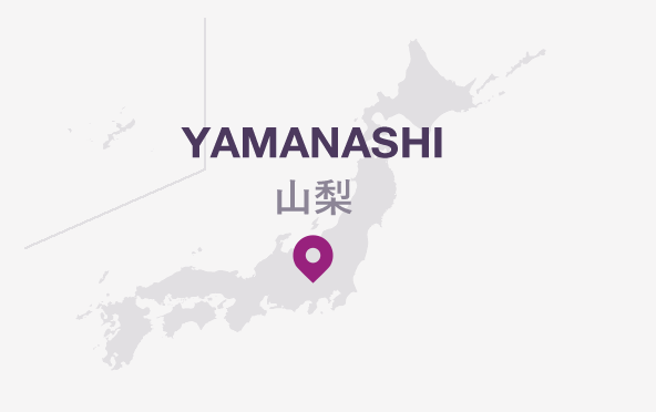 山梨